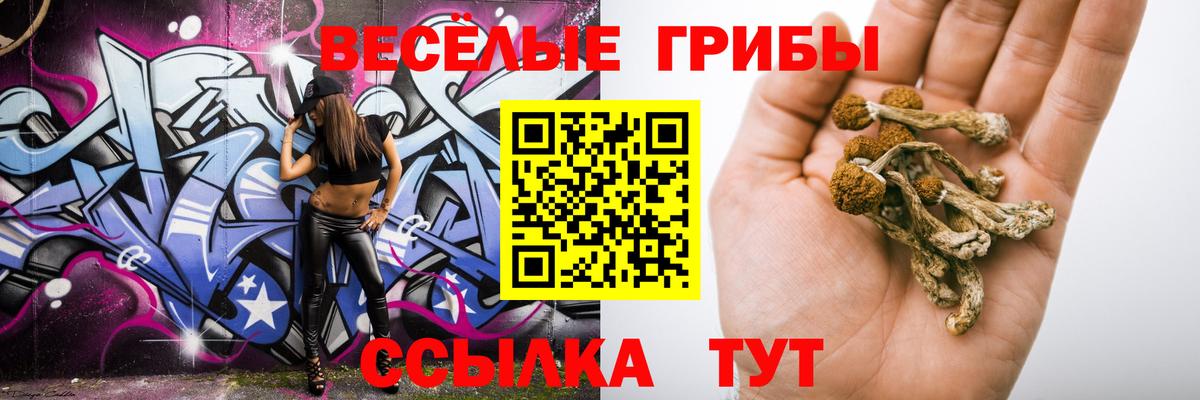 Вичуга  Псилоцибиновые грибы Psilocybine cubensis  Вход с VPN 